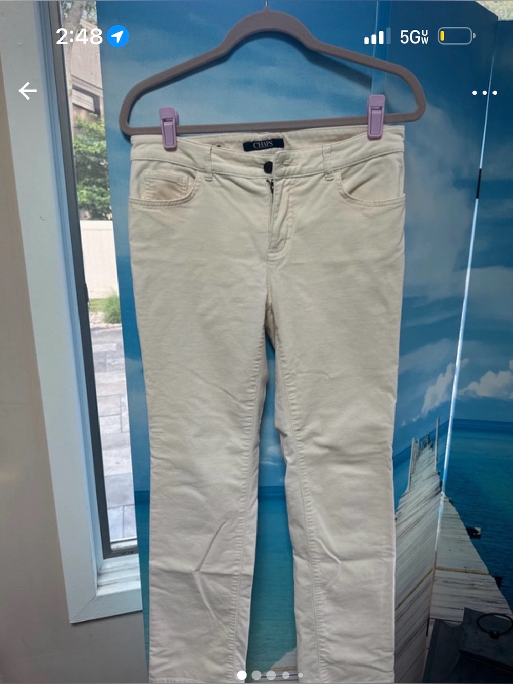 Chaps Straight Leg Pants in Cream